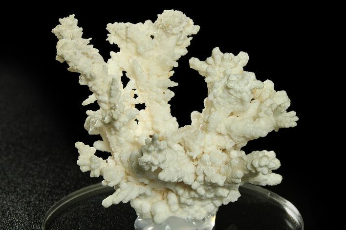 Intricate, Fluorescent Aragonite Formation - Nevada #284849